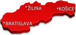 Slovit servis