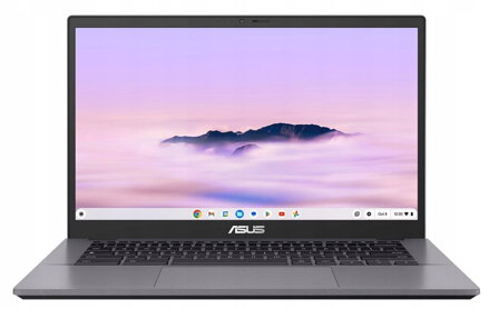 Servis notebooku ASUS Chromebook
